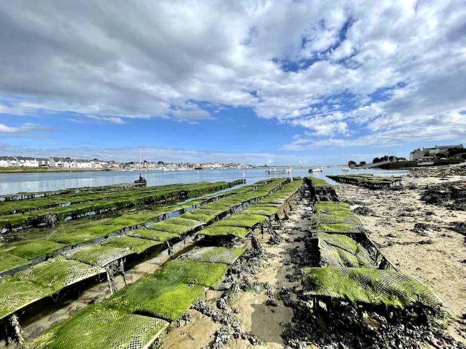 Emplacement De Reve, Maison A 20m Des *